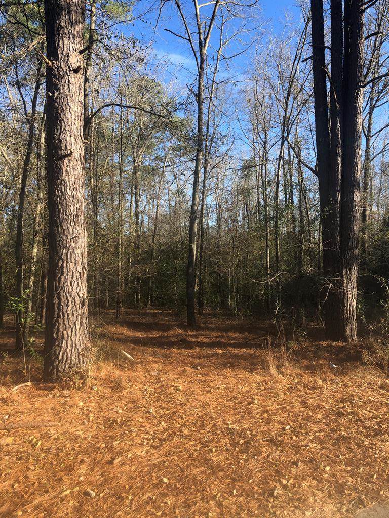 256 Northlake Dr - Photo 1