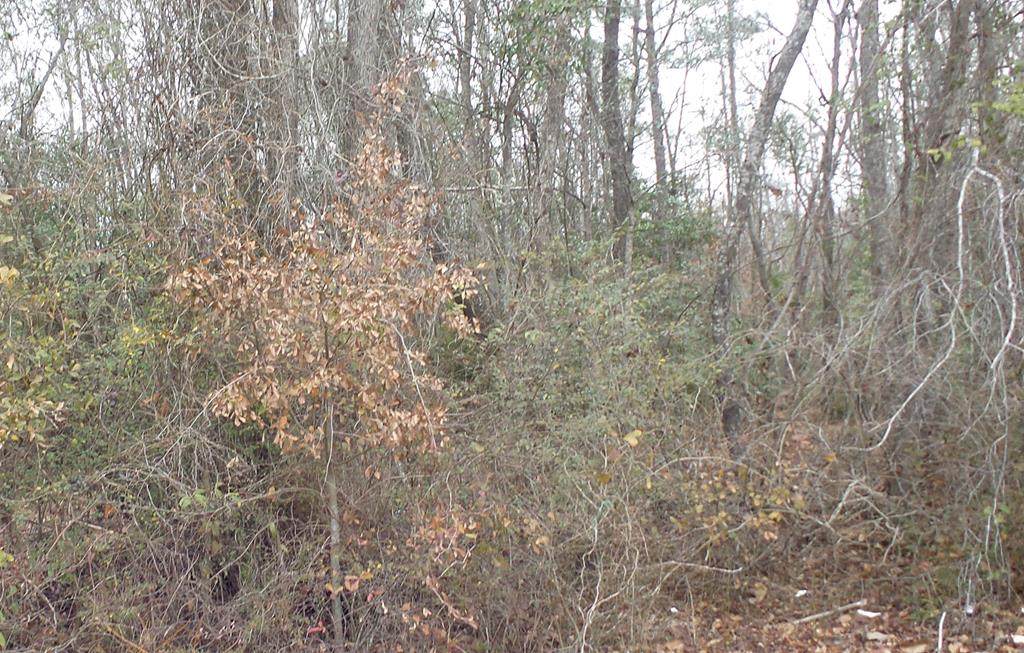 01 Huson Drive - Photo 1
