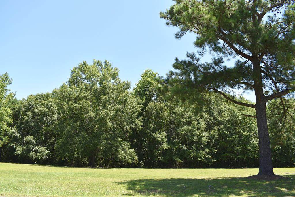 80 Ridge Lake Dr. ( B-27) - Photo 1
