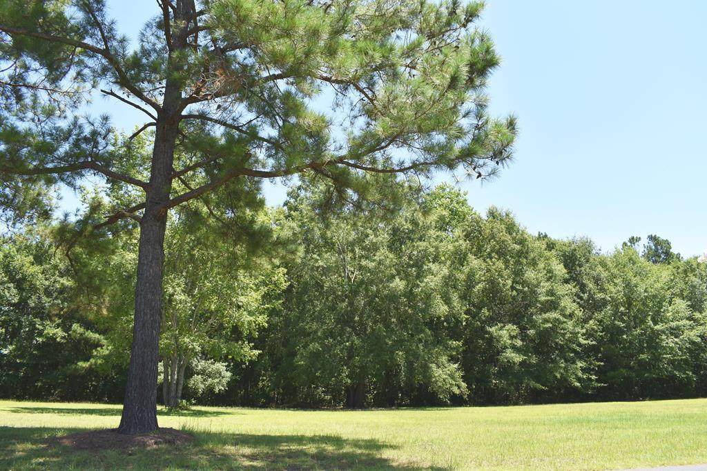84 Ridge Lake Dr. - Photo 1