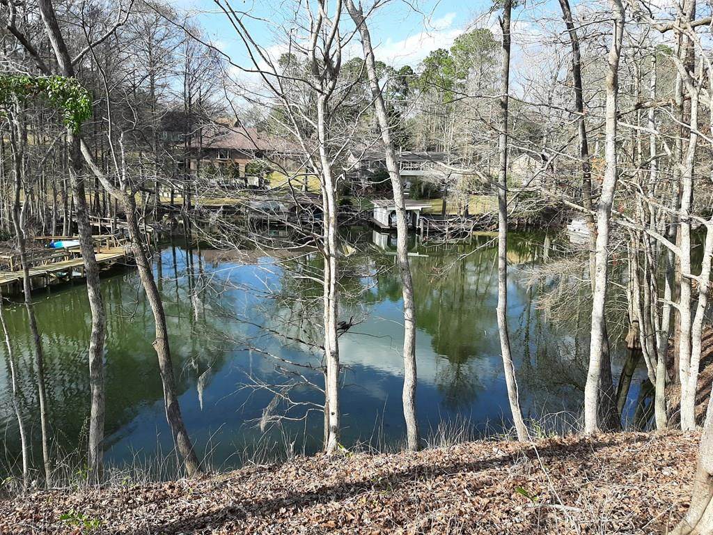 0 Broad River Rd - Photo 1