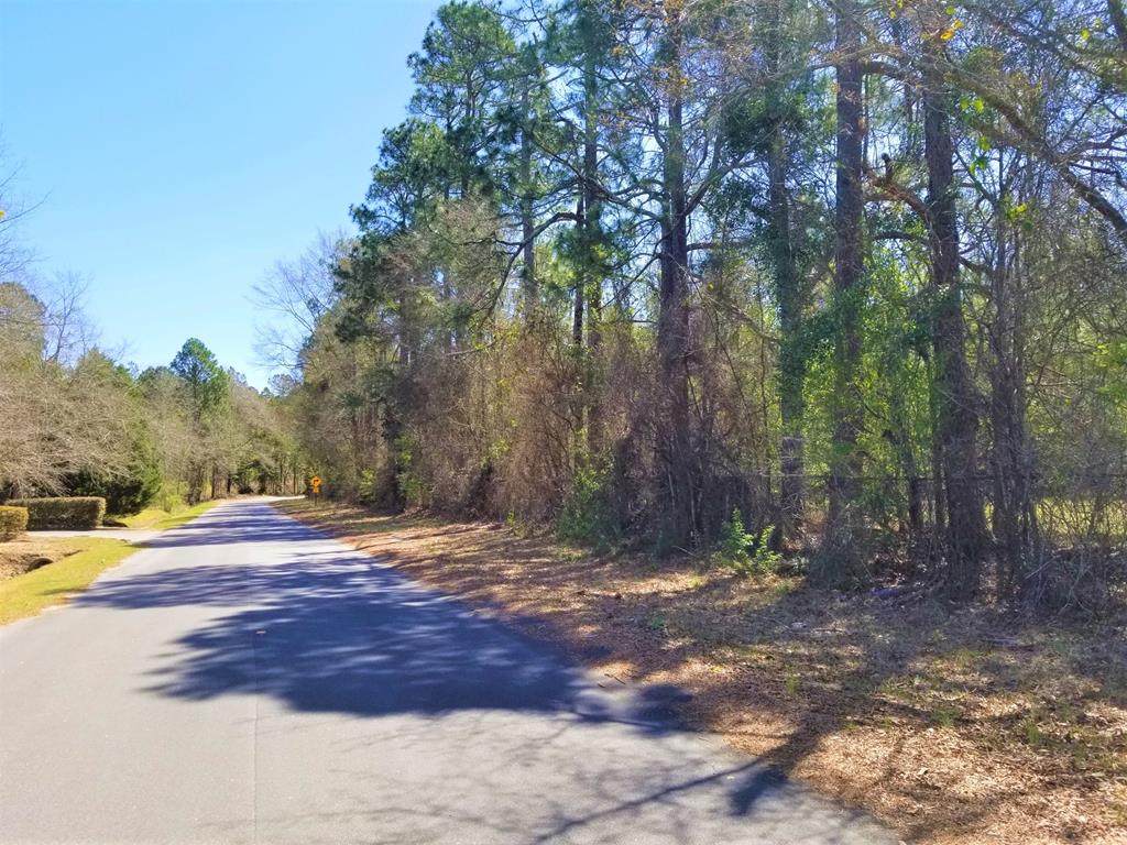 0 Corner Of Dantzler St And Butler St - Photo 1