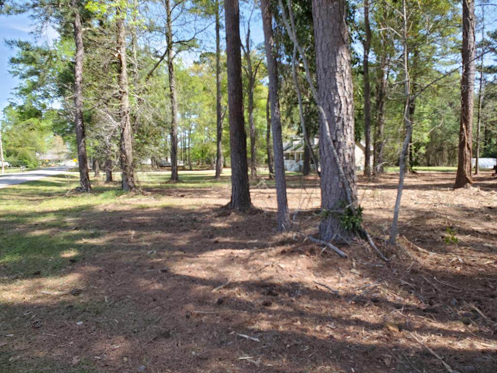 Lot 8 Forest Lake Drive - Photo 1