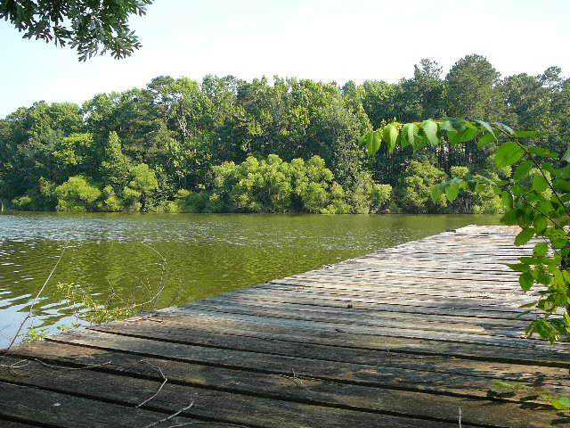 Lot 9 Ash Hill Drive - Photo 1