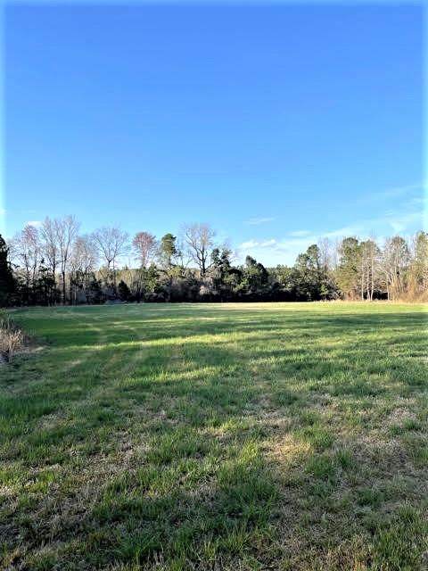TBD Raccoon Road - Photo 1