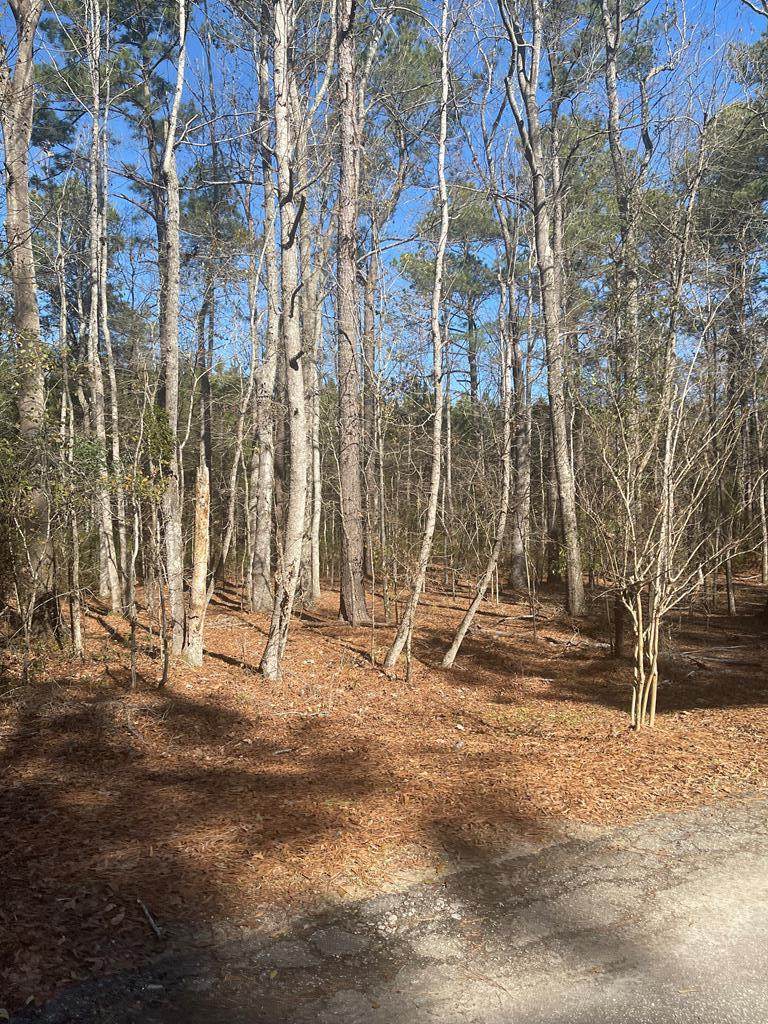 0 Brass Field Dr - Photo 1