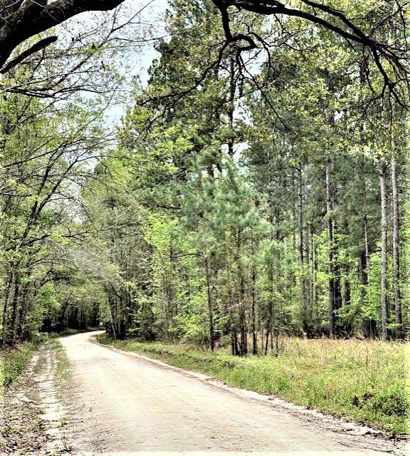 123 Garris Hill Loop - Photo 1