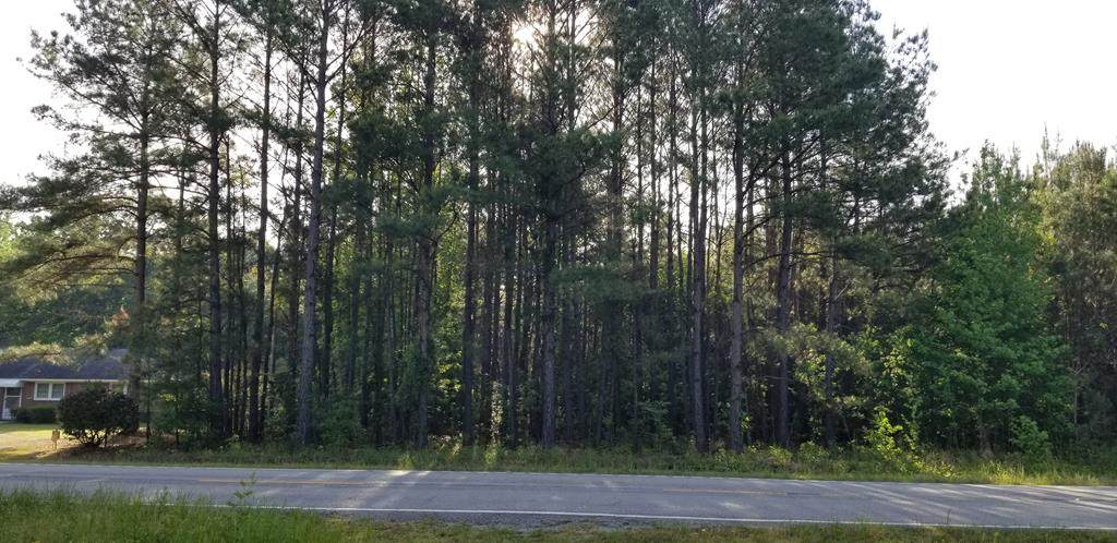 0 Hwy 261 Kings Hwy North - Photo 1