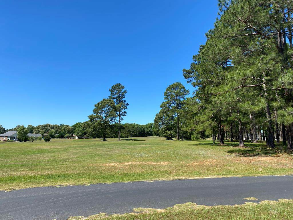 427 Pine Lake Court - Photo 1
