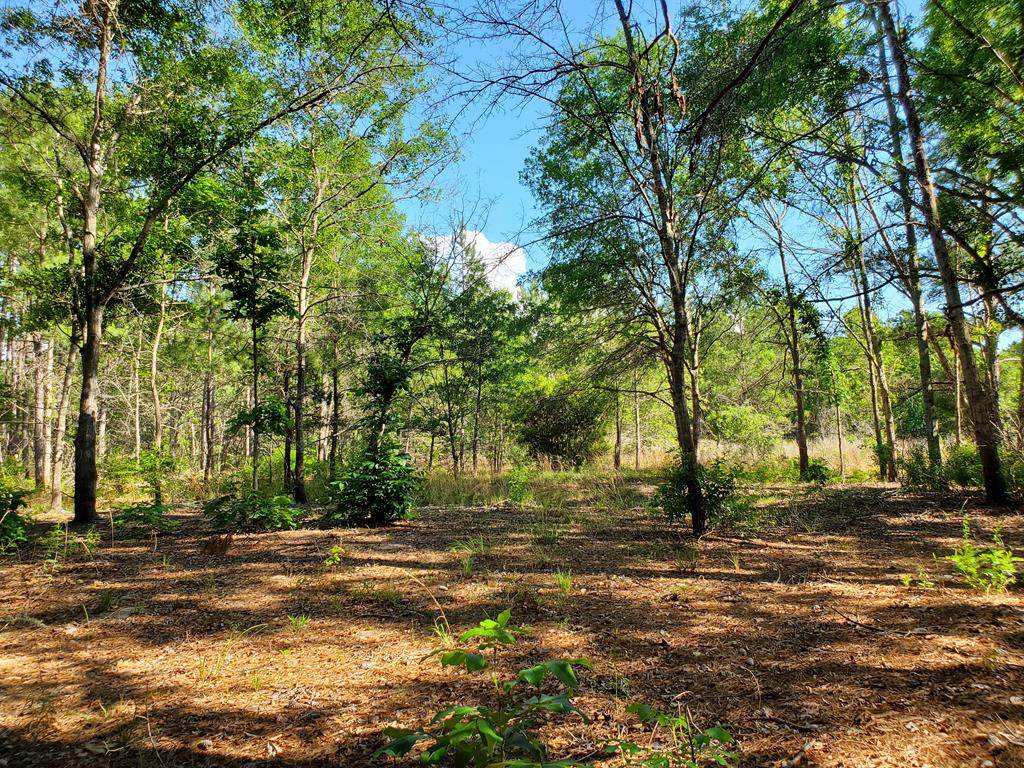 1072 Wild Rose Court - Photo 1