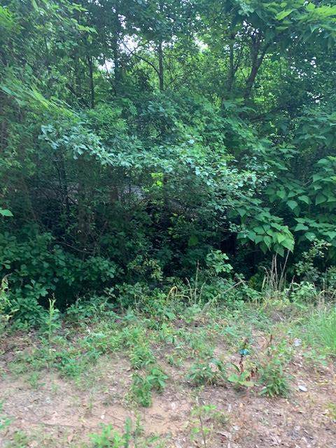 539 Dow Ln - Photo 1