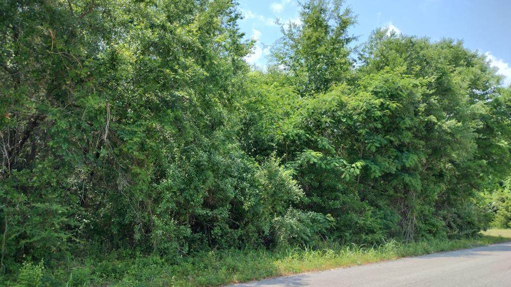 1373 Meagan Lane - Photo 1