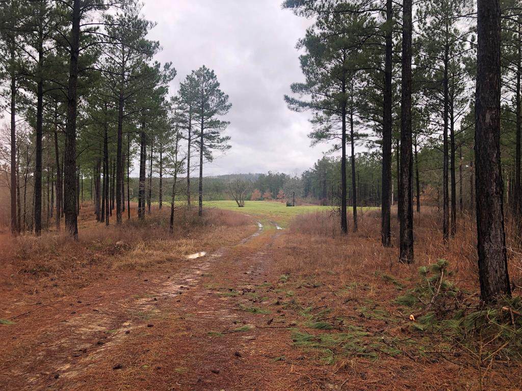 000 Baron Dekalb Rd - Photo 1
