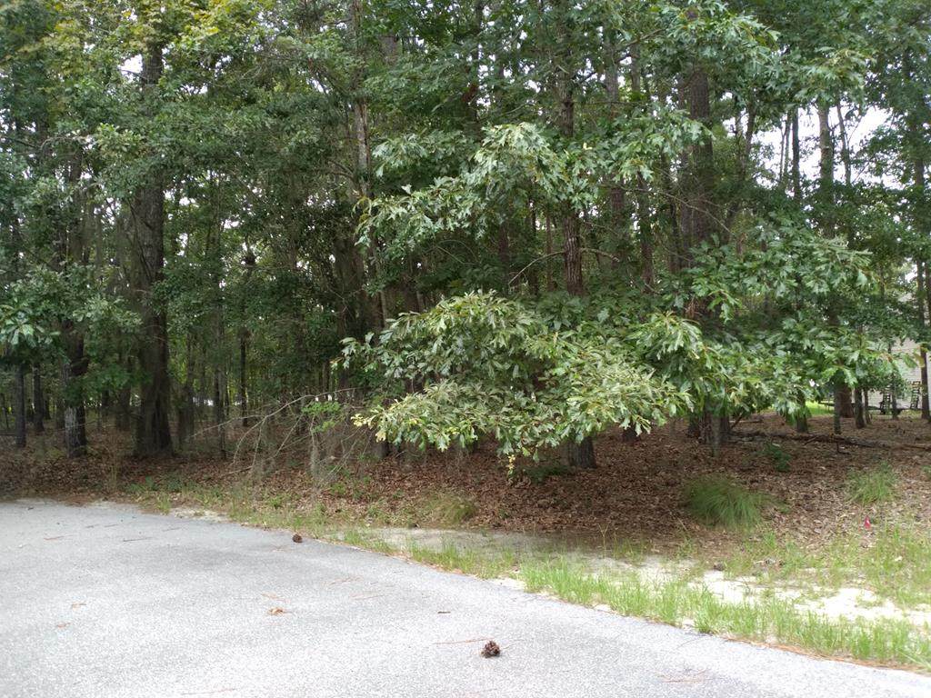 Lot 4 Lake Breeze - Photo 1