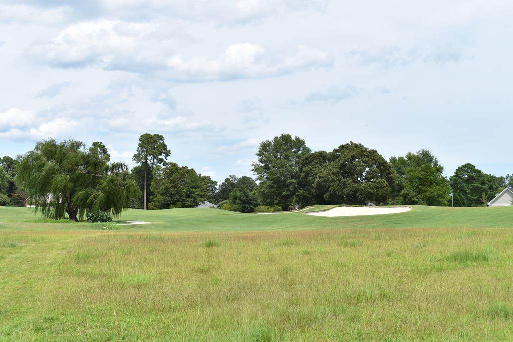 TBD North Lake Cr. (R-13) - Photo 1