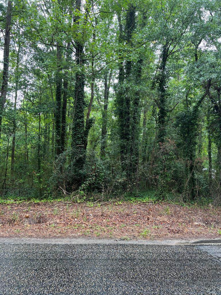 1930 Horatio Hagood Rd - Photo 1