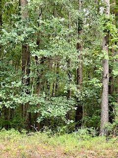 TBD Bill Davis Rd - Photo 1