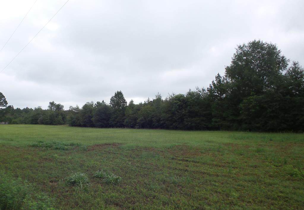 01 Jobby Lane - Photo 1