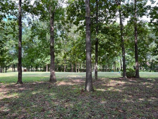 44 Ridge Lake Drive(Lot 34) - Photo 1