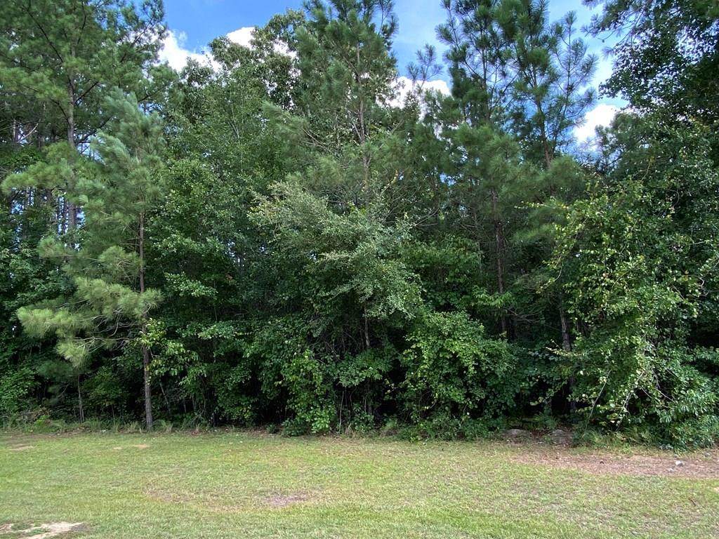 2225 Watersong Run - Photo 1