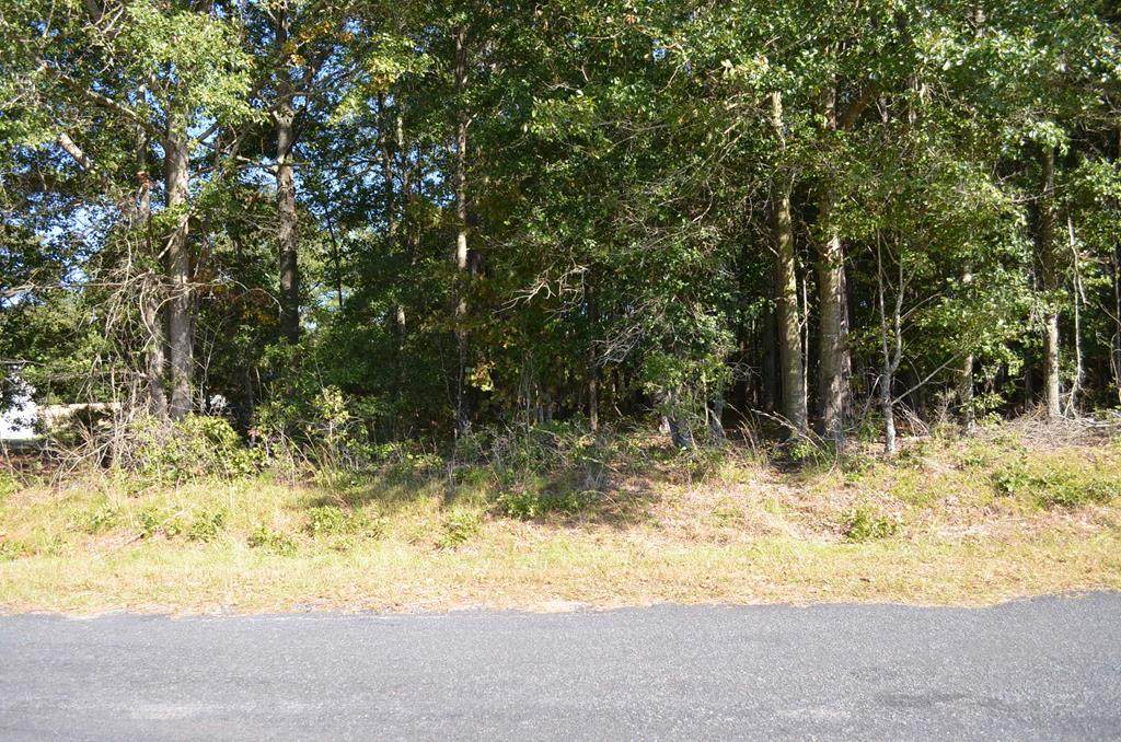 00 Mallett Rd - Photo 1