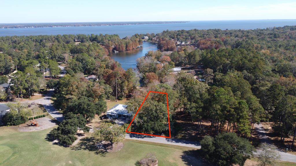 0 0 Santee Drive - Photo 1