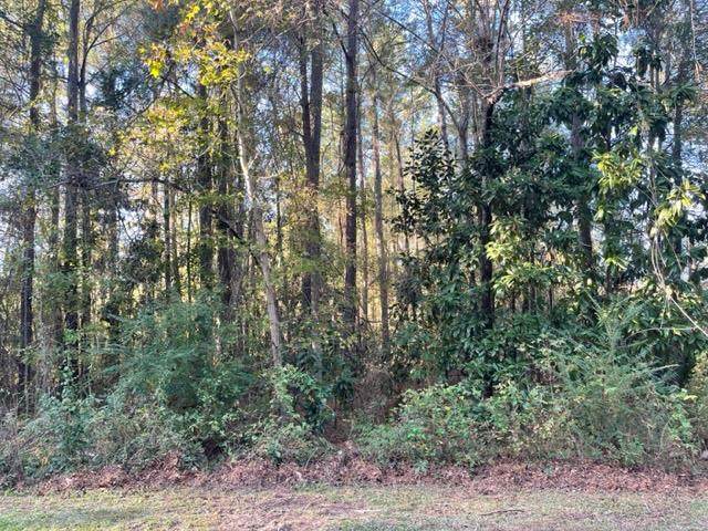 TBD Glenwood Drive - Photo 1