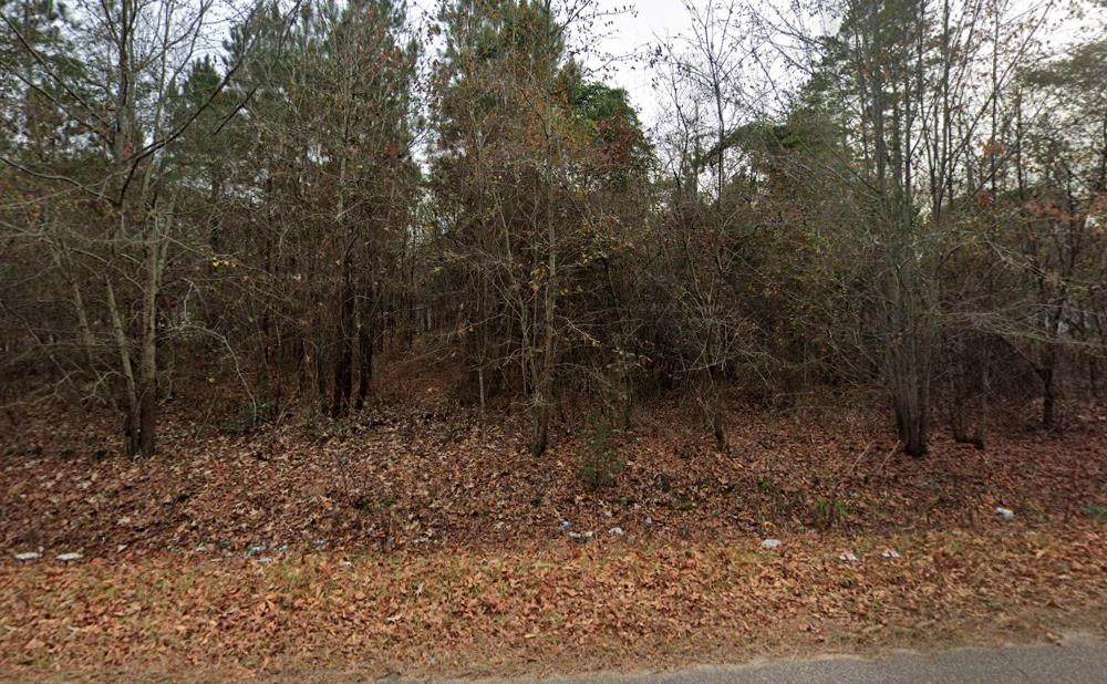 4870 Mclaurin Rd - Photo 1
