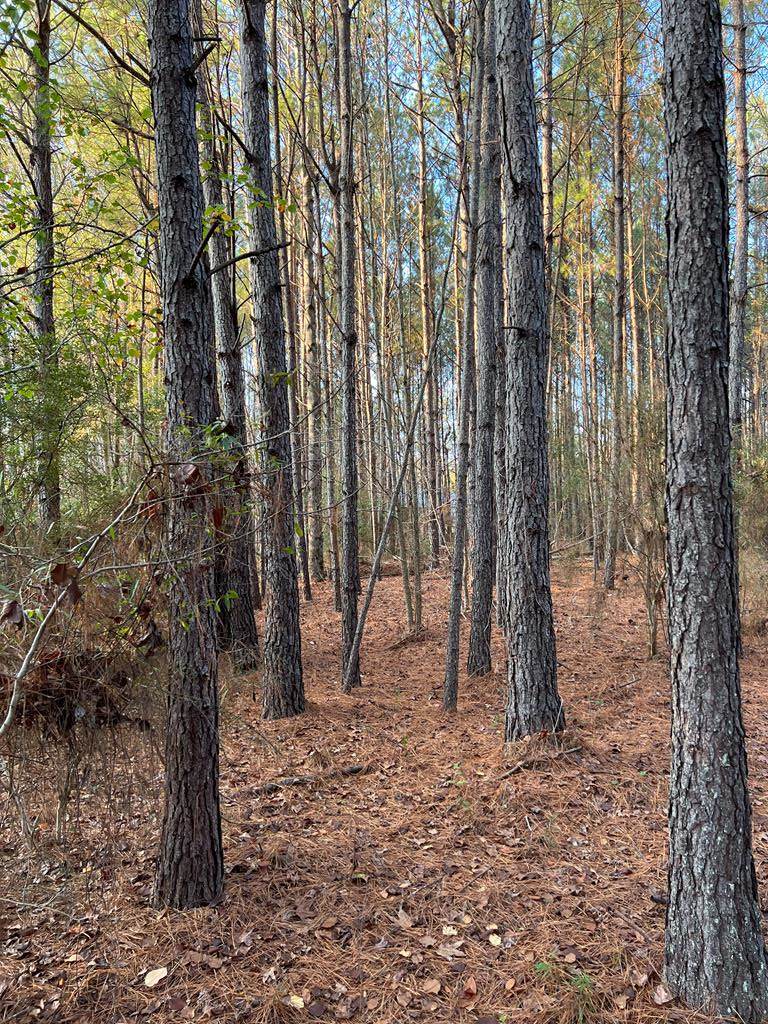 00 Edisto River Road - Photo 1