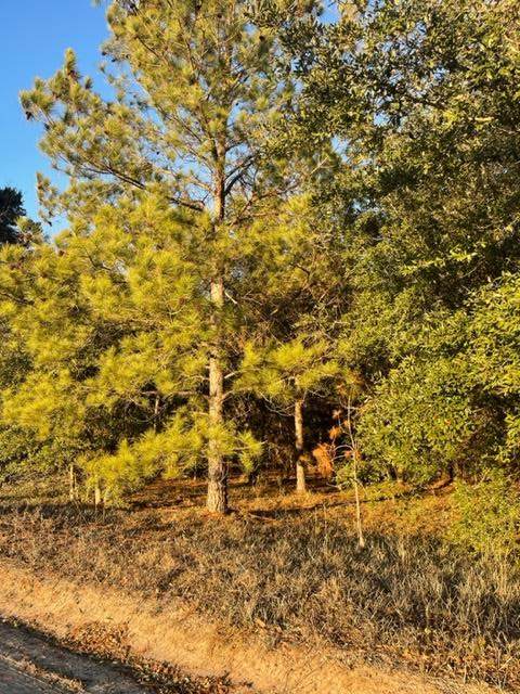 TBD Sparkman Road - Tract #3 - Photo 1