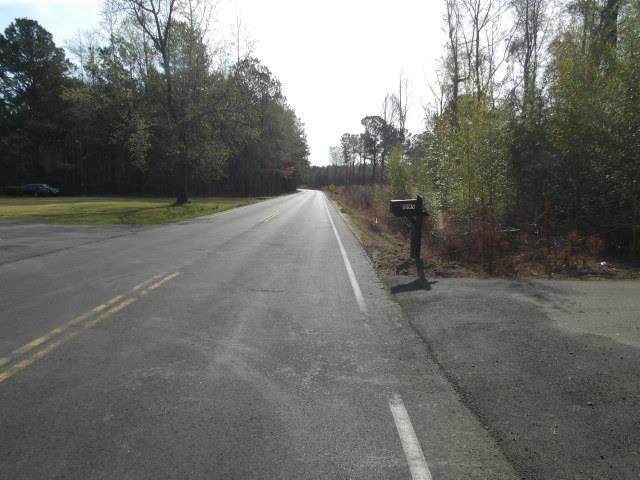 1090 Salters Town Road - Photo 1