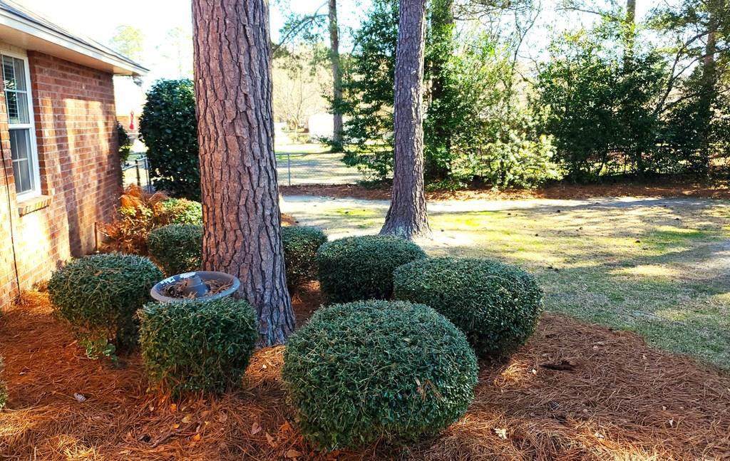 https://bt-photos.global.ssl.fastly.net/sumter/orig_boomver_1_202503-2.jpg