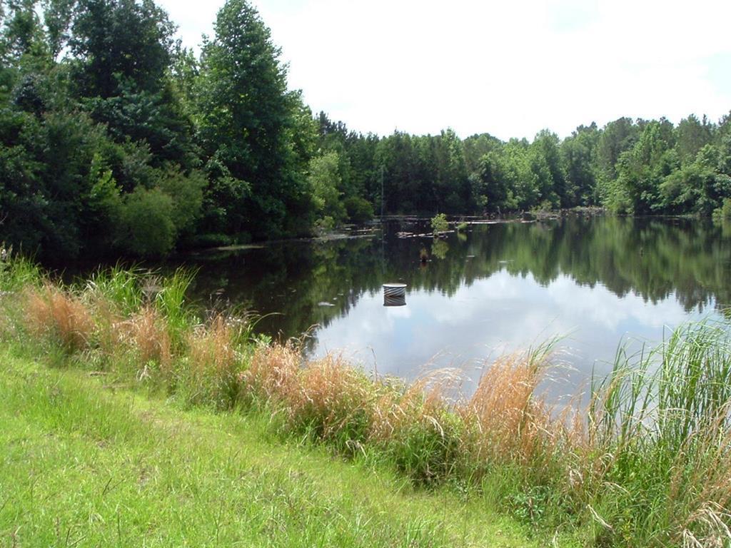 Lot #2 Row Boat Lane - Photo 1