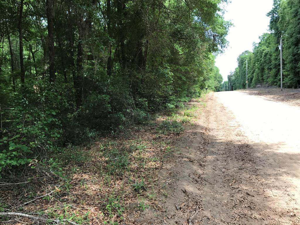 0 Oak Ridge Drive - Photo 1