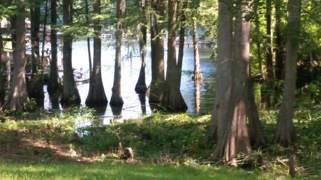 220 Broad River Drive - Photo 1