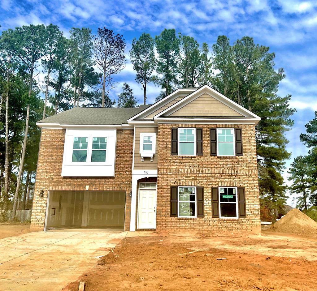 920 Curlew Circle (Lot 1) - Photo 1