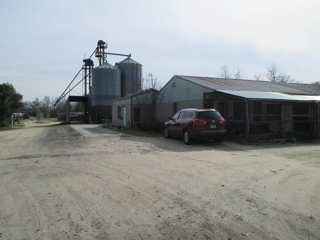 3970 Camden Highway - Photo 1