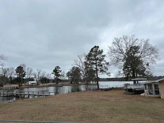 1009 Lion Heart Lane - Photo 1