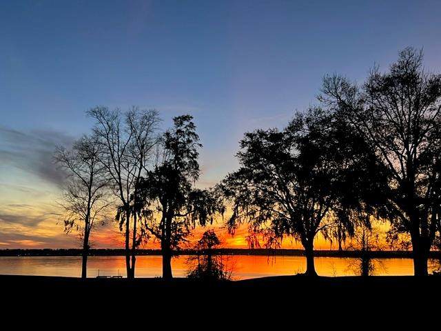 1082 Bridgeview Lane - Photo 1