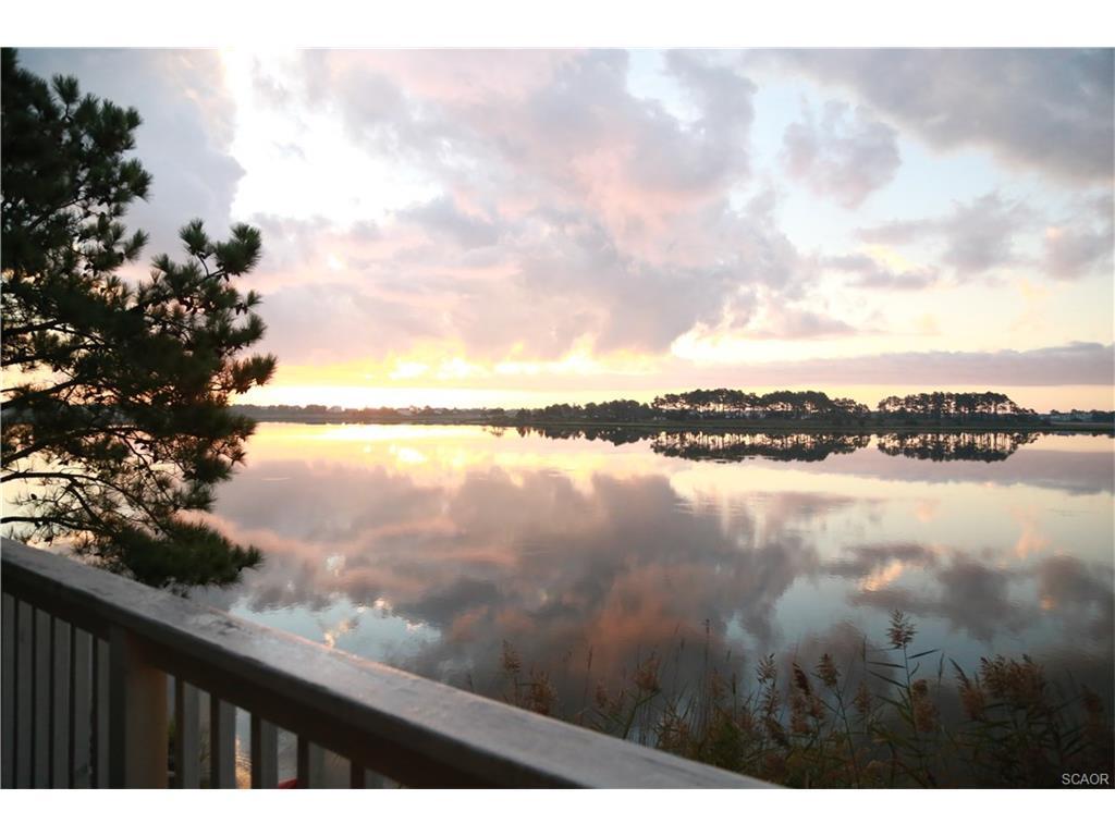 31905 Jeremys Branch - Photo 1