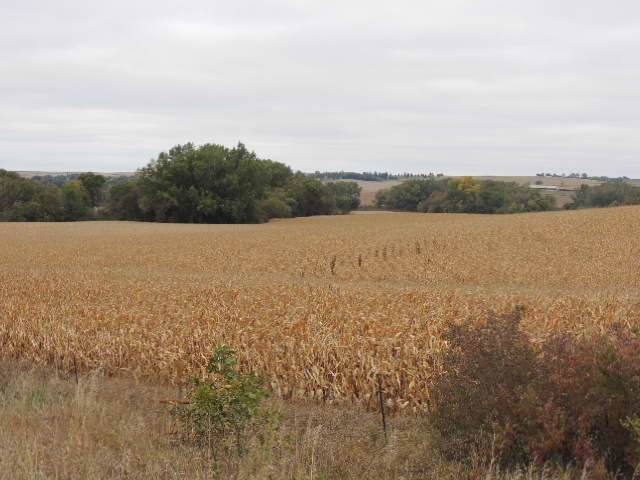 ??? 330TH - Photo 1