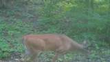 65649 Pease - Photo 45