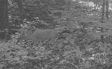 65649 Pease - Photo 46