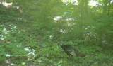 65649 Pease - Photo 48
