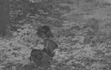 65649 Pease - Photo 49