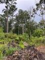 3201 Anthony Ferry Road - Photo 10