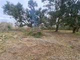 0 Bazile Daigle Road - Photo 7
