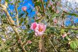 0 Camellia Court - Photo 7