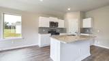 4011 Savannah Oaks Drive - Photo 11