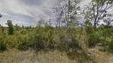 TBD Panhandle Road - Photo 1